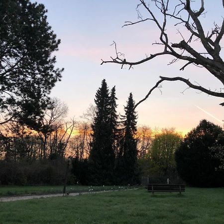Ferienwohnung Apartment Doppelzimmer In Der Villa Naturpark Rheinblick, Ruhig, Aussicht, Pool Koblenz  Dış mekan fotoğraf