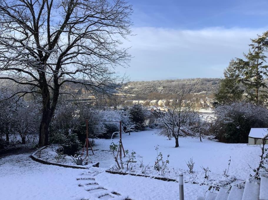Ferienwohnung Apartment Doppelzimmer In Der Villa Naturpark Rheinblick, Ruhig, Aussicht, Pool Koblenz  Dış mekan fotoğraf