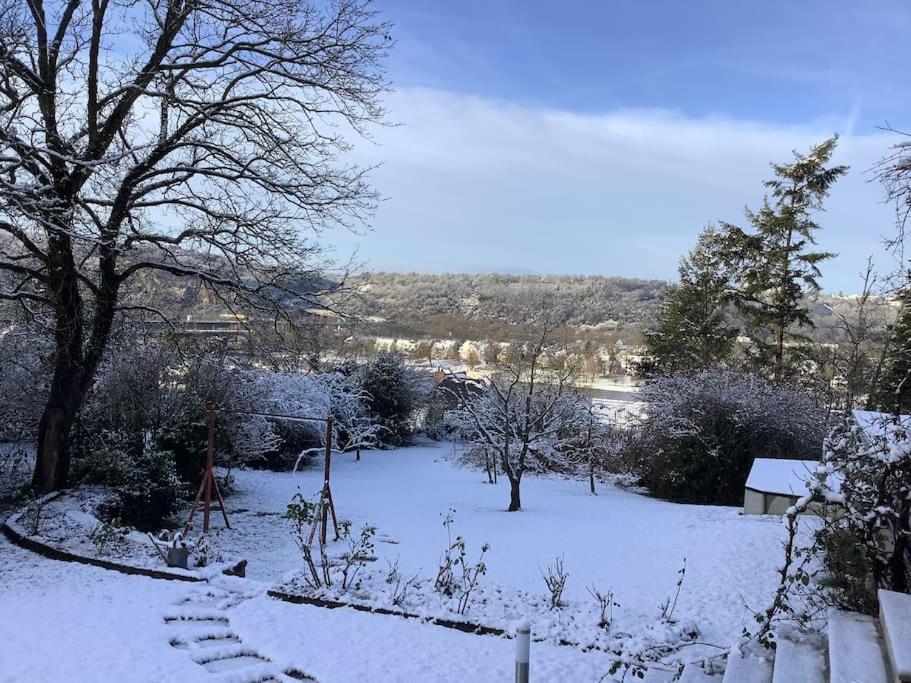 Ferienwohnung Apartment Doppelzimmer In Der Villa Naturpark Rheinblick, Ruhig, Aussicht, Pool Koblenz  Dış mekan fotoğraf