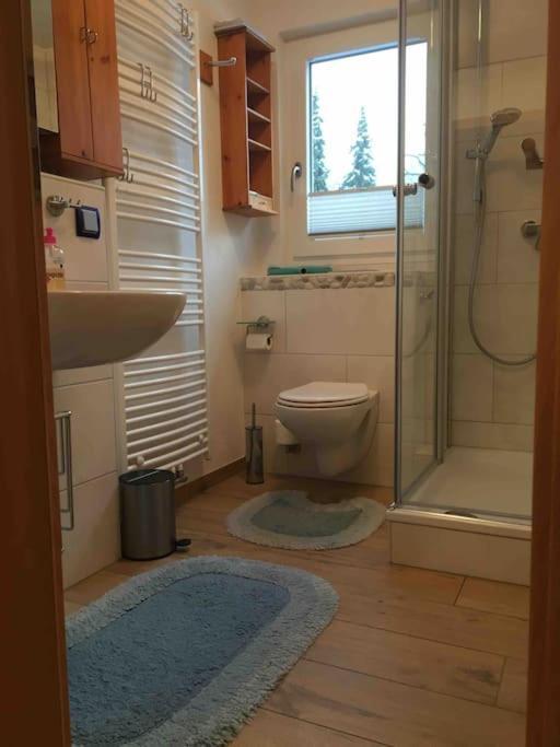 Ferienwohnung Apartment Doppelzimmer In Der Villa Naturpark Rheinblick, Ruhig, Aussicht, Pool Koblenz  Dış mekan fotoğraf