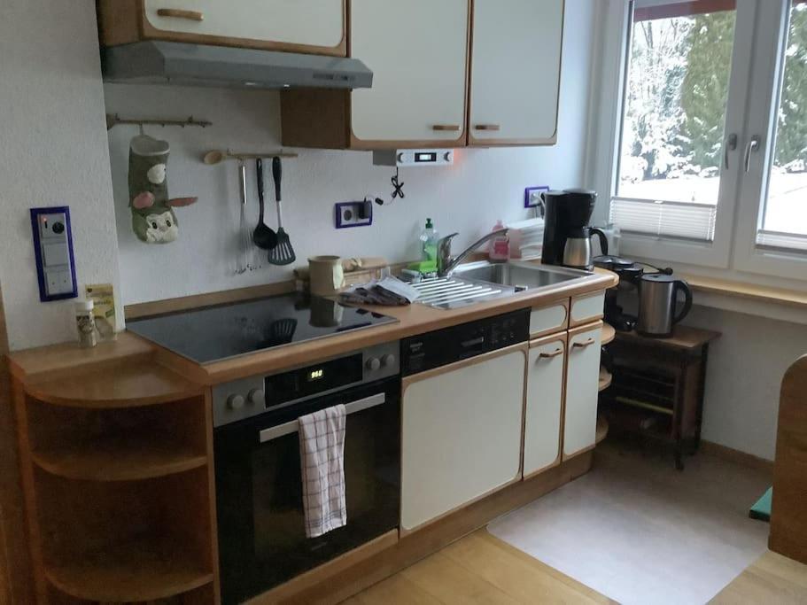 Ferienwohnung Apartment Doppelzimmer In Der Villa Naturpark Rheinblick, Ruhig, Aussicht, Pool Koblenz  Dış mekan fotoğraf
