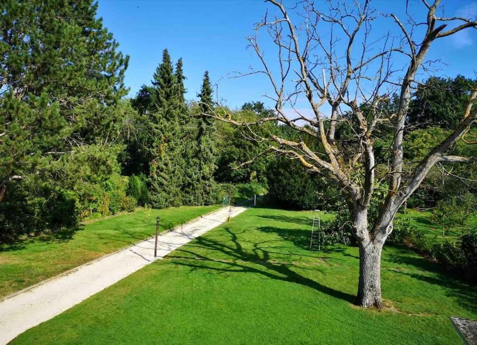 Ferienwohnung Apartment Doppelzimmer In Der Villa Naturpark Rheinblick, Ruhig, Aussicht, Pool Koblenz  Dış mekan fotoğraf