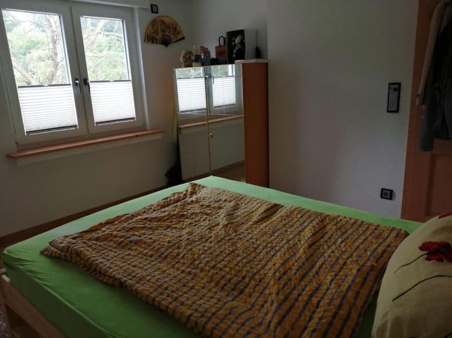 Ferienwohnung Apartment Doppelzimmer In Der Villa Naturpark Rheinblick, Ruhig, Aussicht, Pool Koblenz  Dış mekan fotoğraf