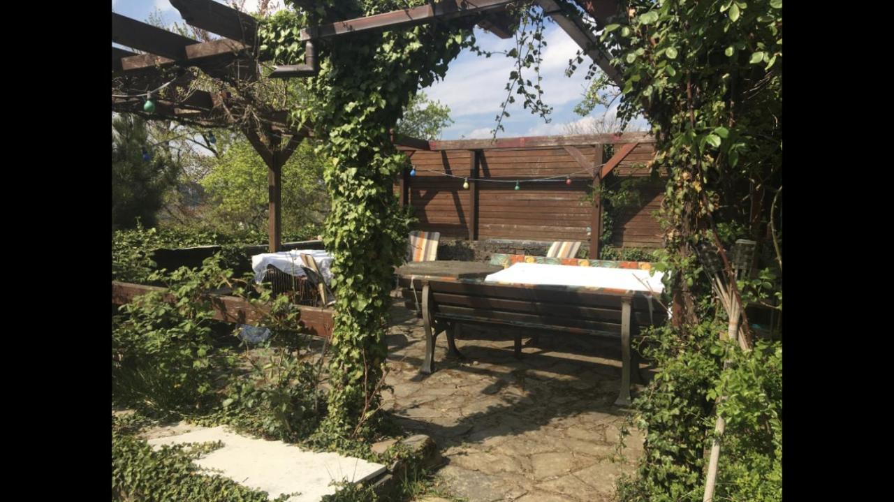 Ferienwohnung Apartment Doppelzimmer In Der Villa Naturpark Rheinblick, Ruhig, Aussicht, Pool Koblenz  Dış mekan fotoğraf